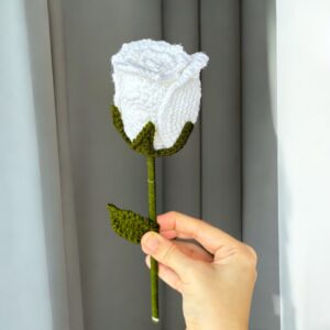 Fancy Rose