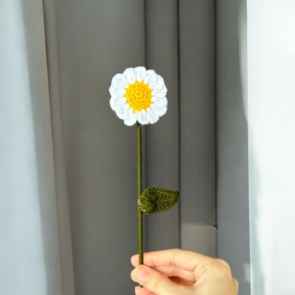 Mini Daisy