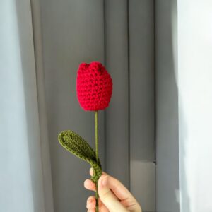 Tulip