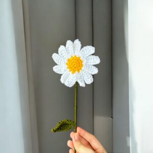 Daisy