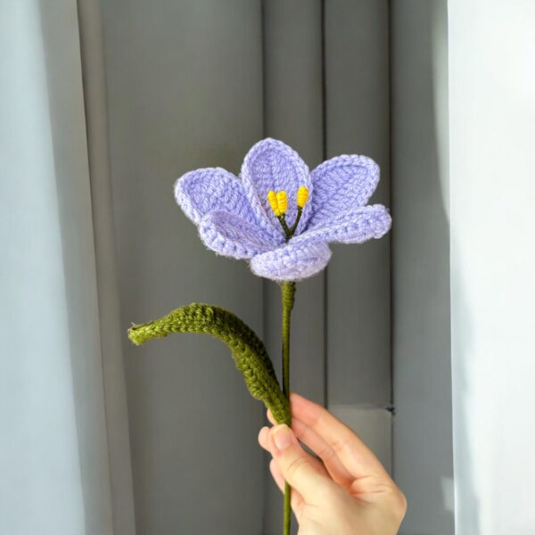 Wide Open Tulip