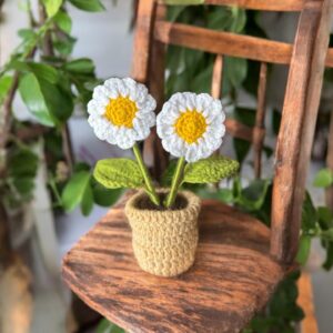 Two Mini Daisy Pot