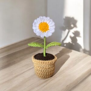 Mini daisy  pot