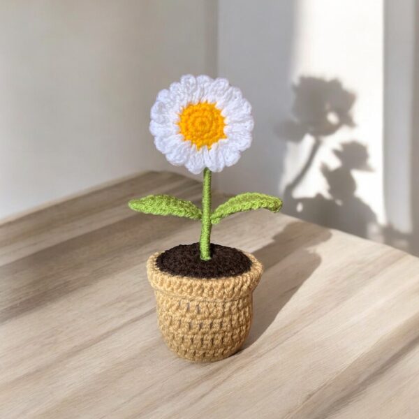 Mini daisy  pot