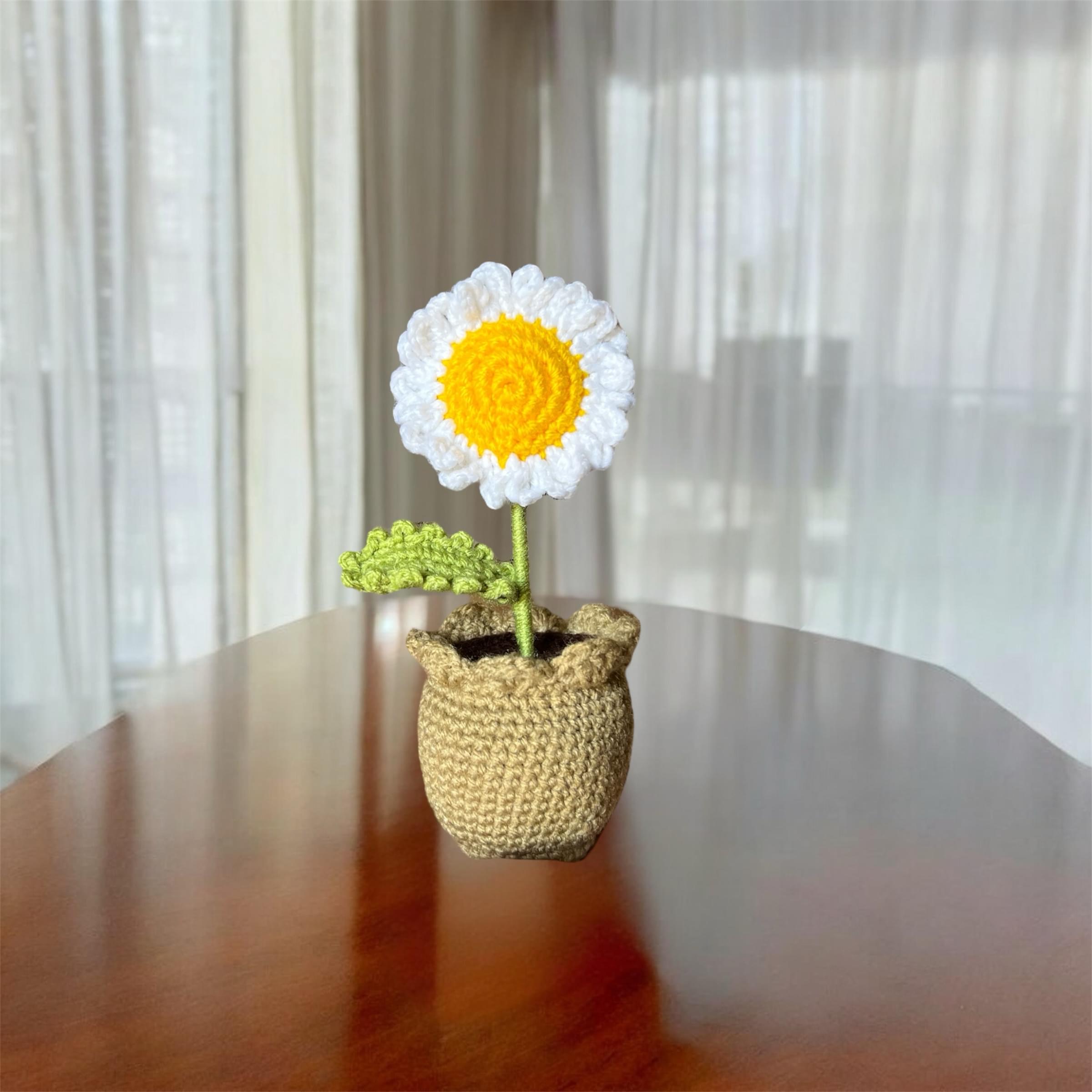 Mini daisy  pot